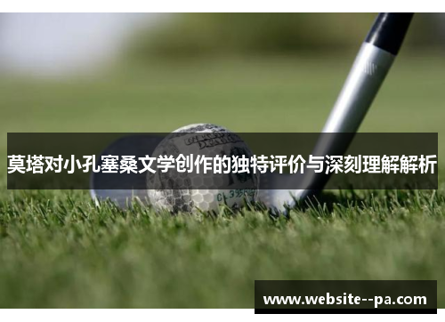 莫塔对小孔塞桑文学创作的独特评价与深刻理解解析