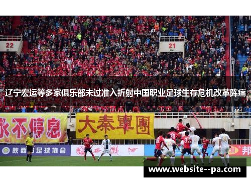 辽宁宏运等多家俱乐部未过准入折射中国职业足球生存危机改革阵痛