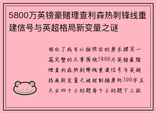 5800万英镑豪赌理查利森热刺锋线重建信号与英超格局新变量之谜 5800万英镑豪赌理查利森热刺锋线重建信号与英超格局新变量之谜